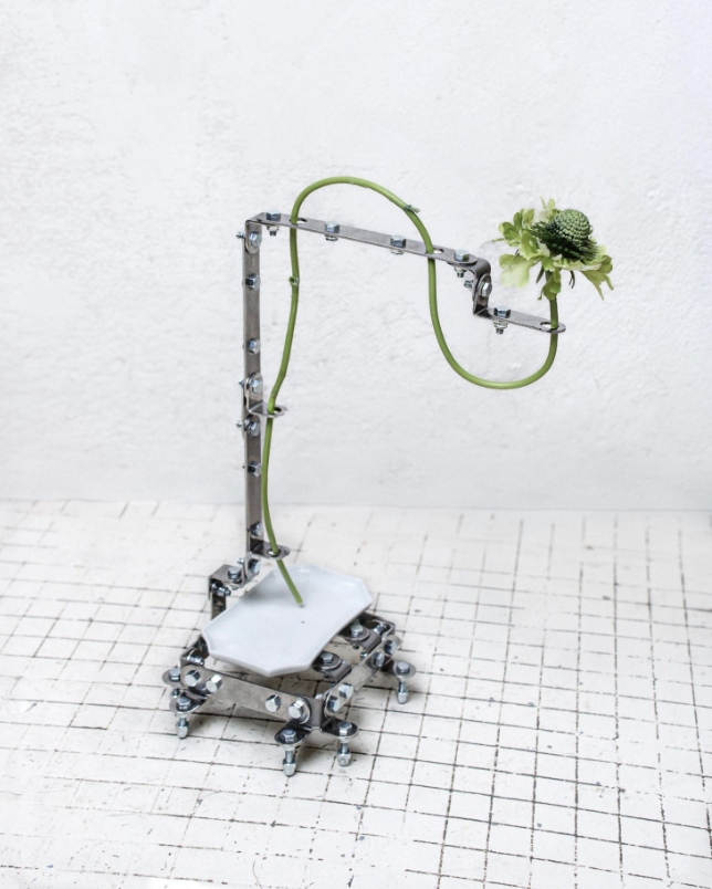 Flora Mechanica